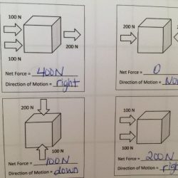 Calculating net force worksheet with answers