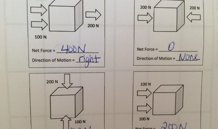 Calculating net force worksheet with answers