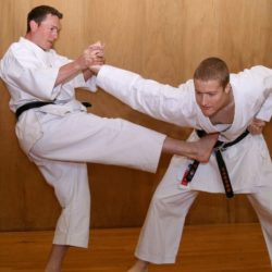 Karate self defense martial arts defence moves top disciplines survival islandeye credit