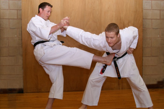 Karate self defense martial arts defence moves top disciplines survival islandeye credit