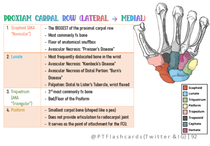 Some lovers try positions that they can't handle carpal bones