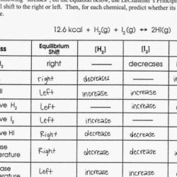 Le chatelier's principle worksheet answer key