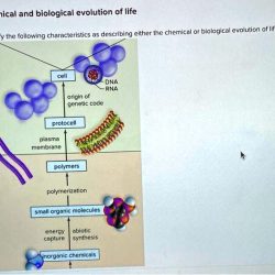 Covalent bonds compounds molecular bonding ionic molecule ch150 summary preparatory