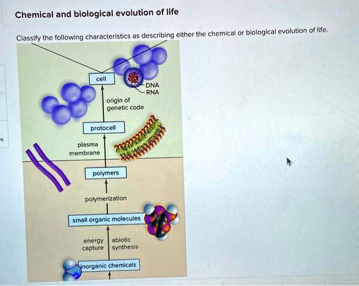 Covalent bonds compounds molecular bonding ionic molecule ch150 summary preparatory