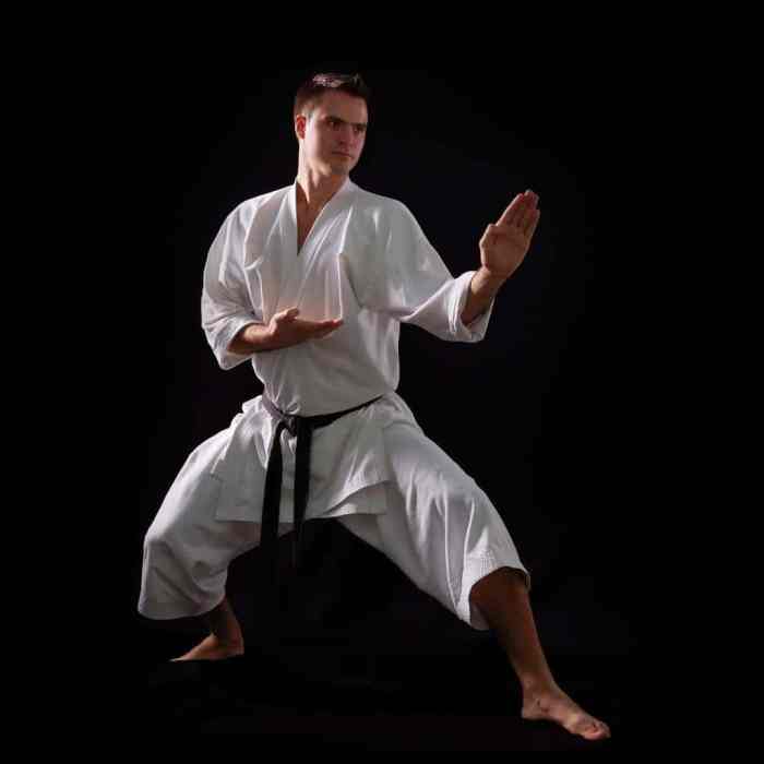 Karate martial practice tribes